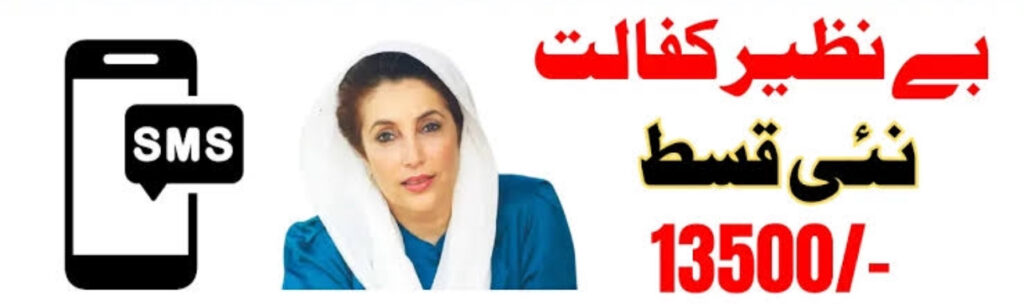 BISP 8171 Payment 2025